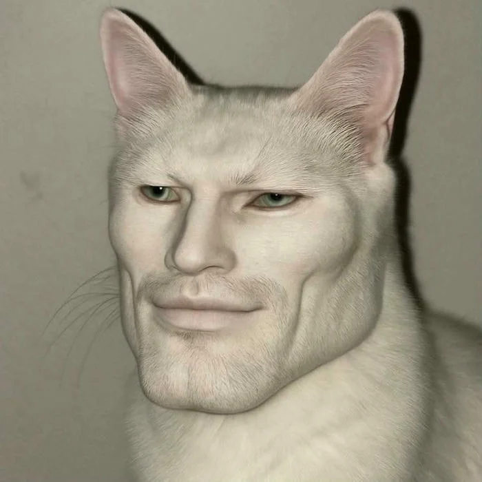 Cập nhật 100+ meme avatar độc lạ, vui nhộn cho mạng xã hội