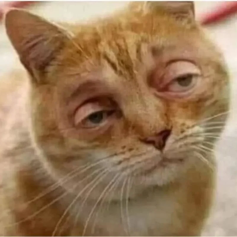 Ảnh meme hài hước tinh tế