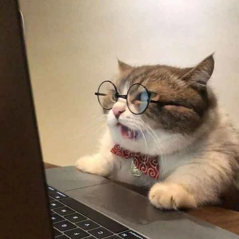 Ảnh meme hài hước lầy lội
