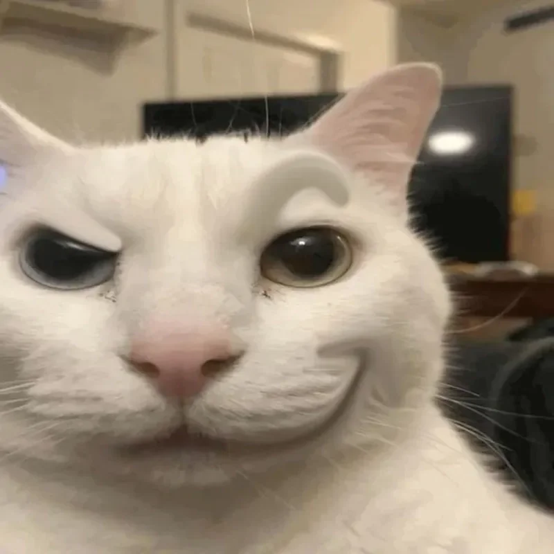 Ảnh hình nền meme siêu hài giúp bạn giải trí mỗi ngày cực vui
