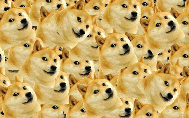 Hình nền meme Doge tràn ngập màn hình