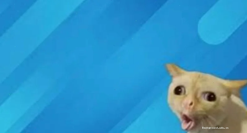 Tổng hợp 99+ Hình Nền Máy Tính Meme Độc Đáo Cho Dân Văn Phòng