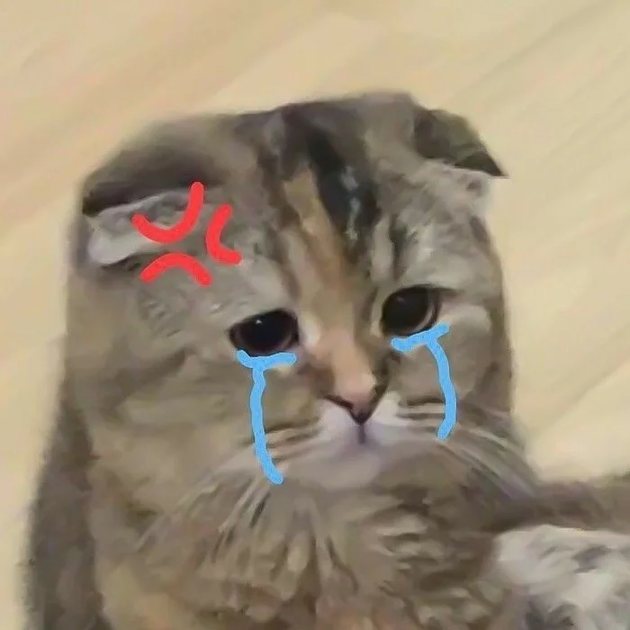 Hình ảnh meme mèo khóc lúc tức giận