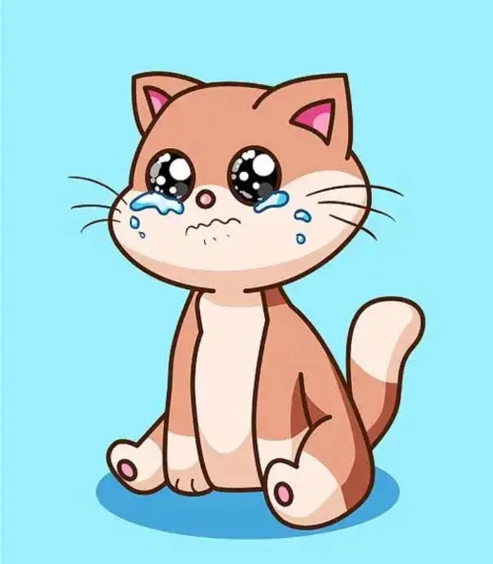 hình ảnh cute meme mèo khóc
