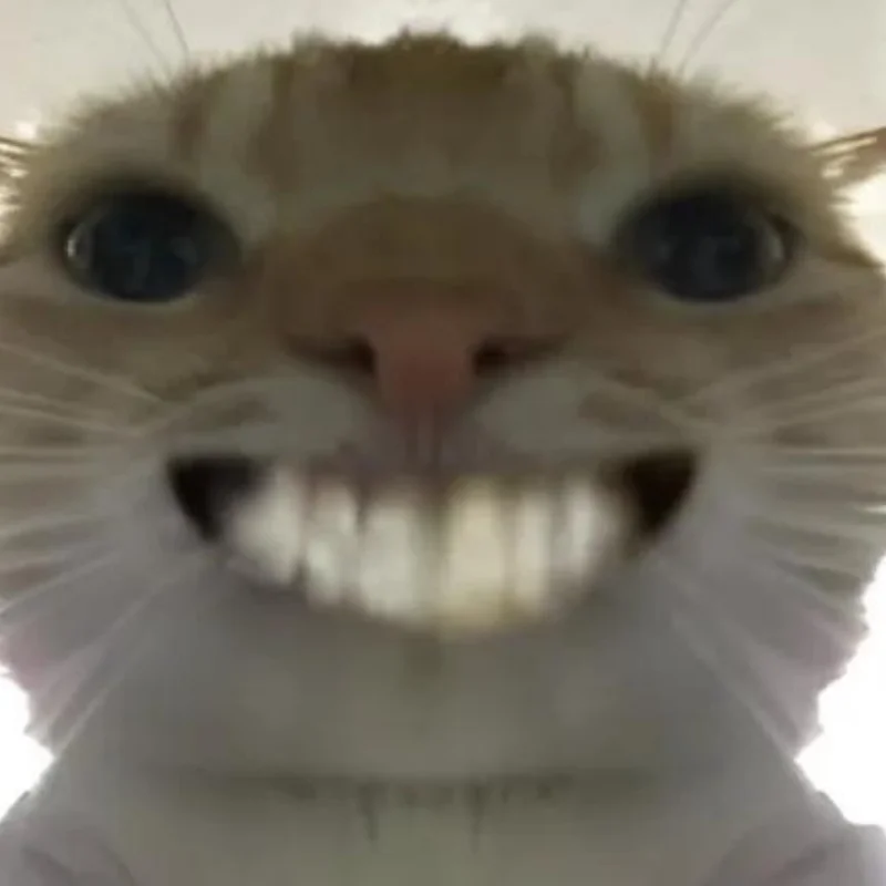ảnh Meme mèo cười nhe răng